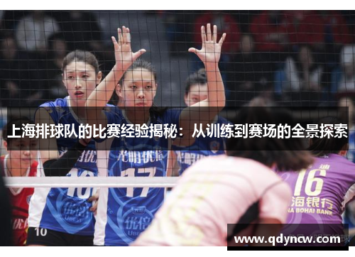 上海排球队的比赛经验揭秘：从训练到赛场的全景探索