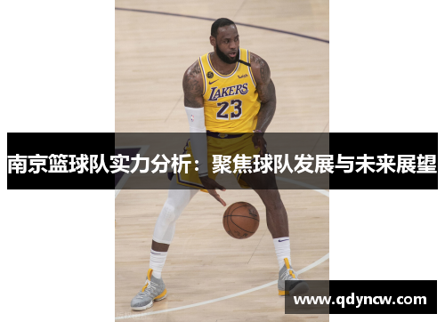 南京篮球队实力分析：聚焦球队发展与未来展望