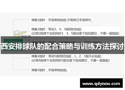 西安排球队的配合策略与训练方法探讨