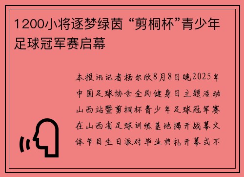 1200小将逐梦绿茵 “剪桐杯”青少年足球冠军赛启幕